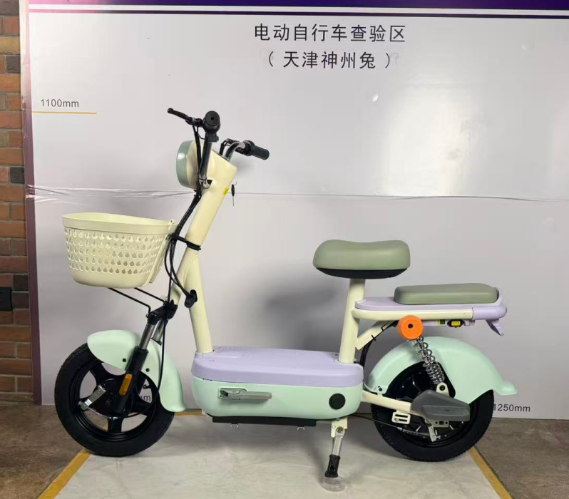 神州兔新新国标电动车——紫/浅绿